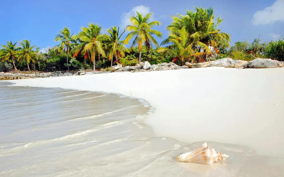 From Fort Lauderdale: Bimini Bahamas Day Trip by Ferry Image 3