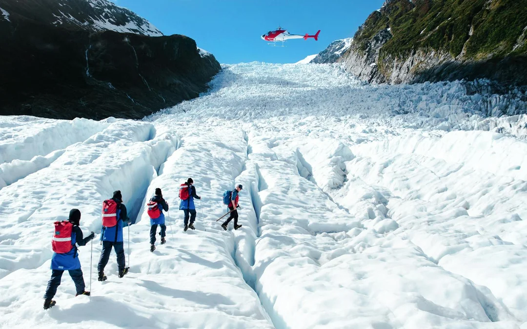 From Fox Glacier: Expert Guided Heli-Hike Tour
 Image 3