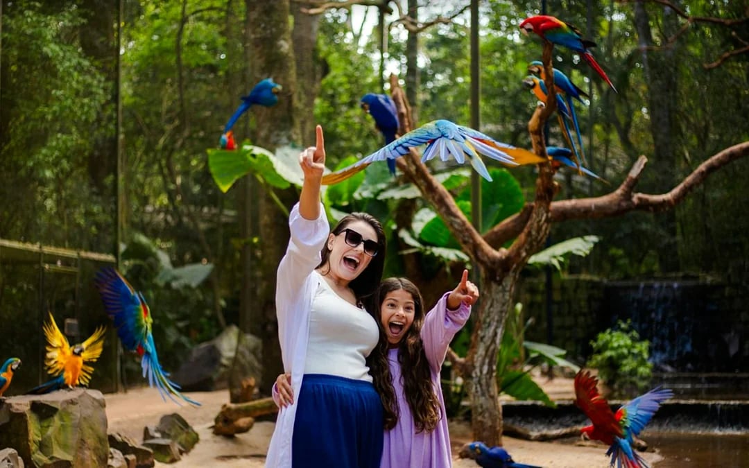 From Foz do Iguaçu: Brazilian Side Iguazu Falls & Parque das Aves Guided Tour with Hotel Transfers Image 6