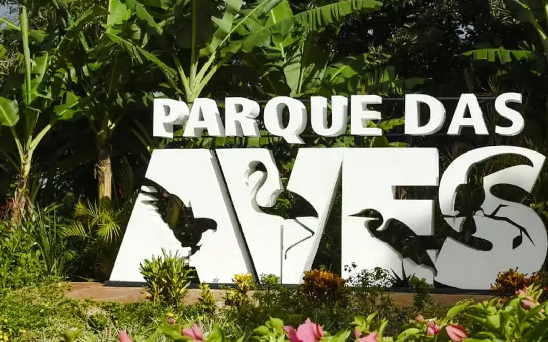 From Foz do Iguaçu: Brazilian Side Iguazu Falls & Parque das Aves Guided Tour with Hotel Transfers Image 8