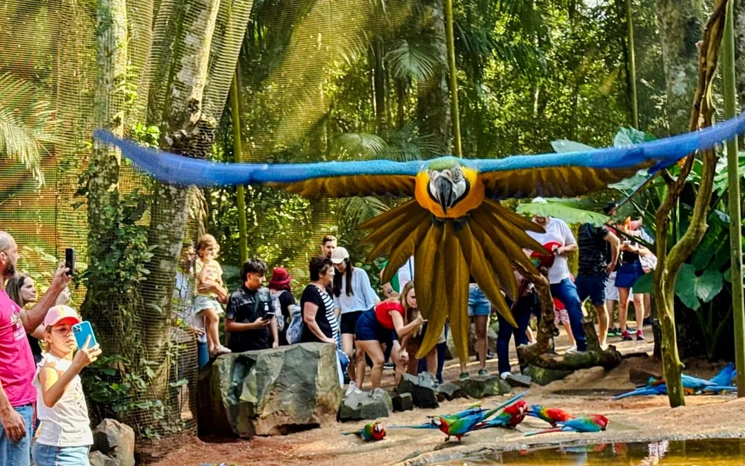 From Foz do Iguaçu: Brazilian Side Iguazu Falls & Parque das Aves Guided Tour with Hotel Transfers Image 9