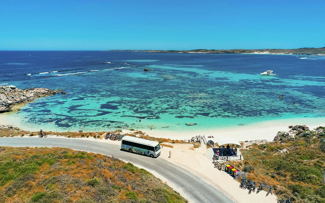 From Fremantle: Rottnest Island Guided Bus Tour with Return Ferry Image 1