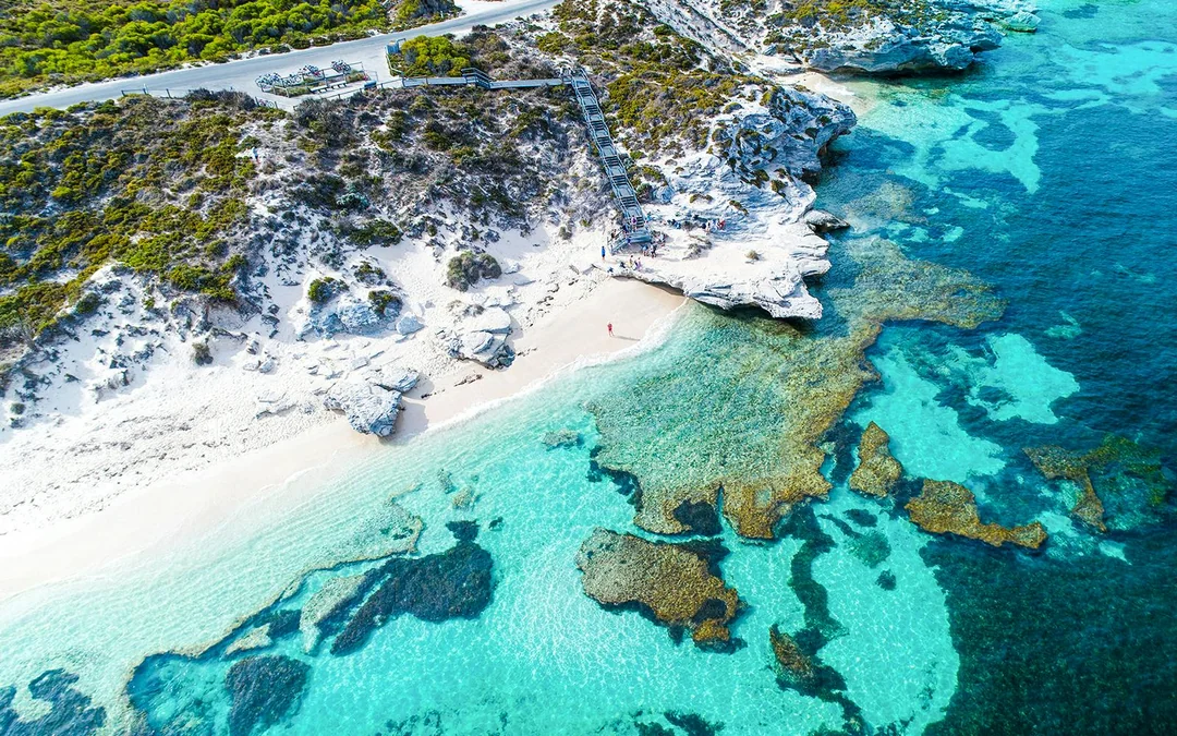 From Fremantle: Rottnest Island Guided Bus Tour with Return Ferry Image 8