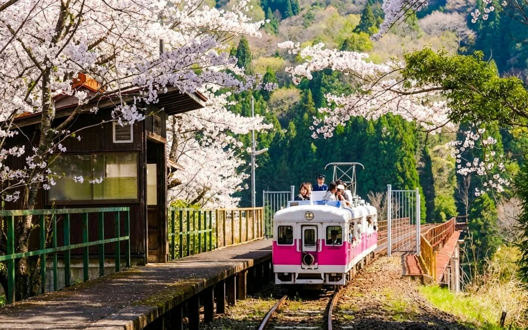 From Fukuoka: Takachiho Gorge and Amaterasu Railway Tour Image 7