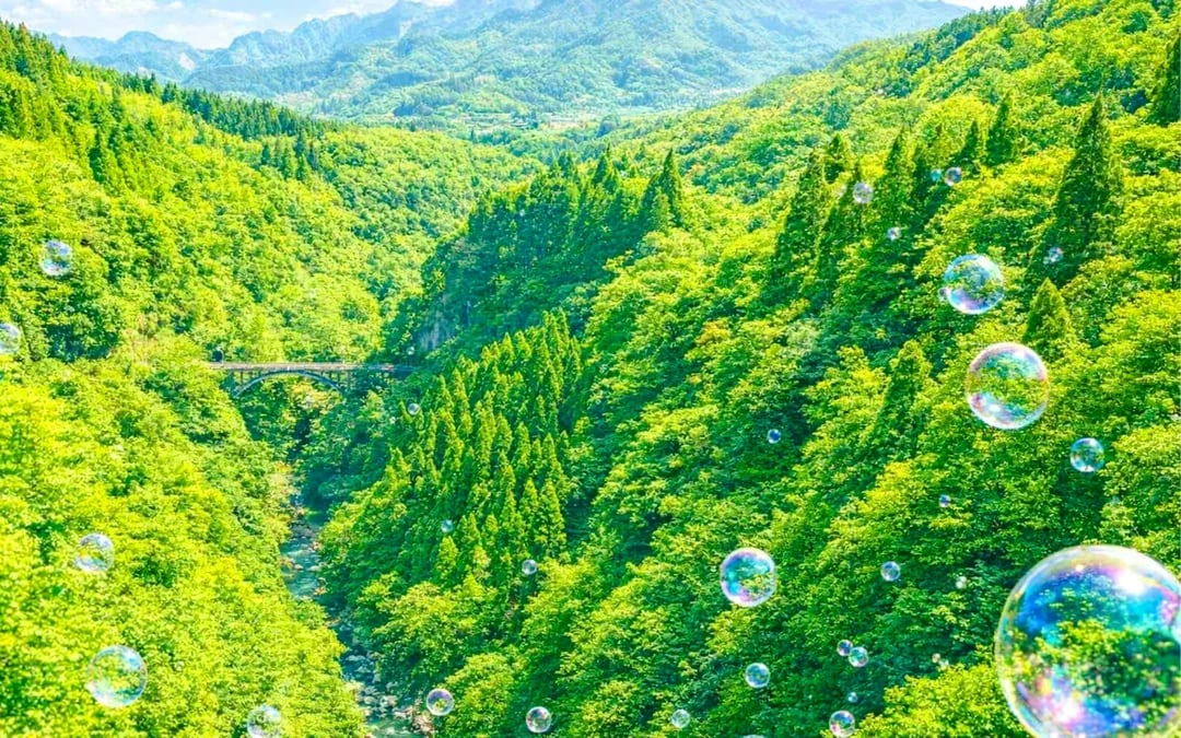 From Fukuoka: Takachiho Gorge and Amaterasu Railway Tour Image 9