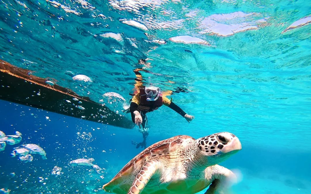 From Gili Trawangan: Gili Islands Small-Group Snorkeling Boat Tour Image 7