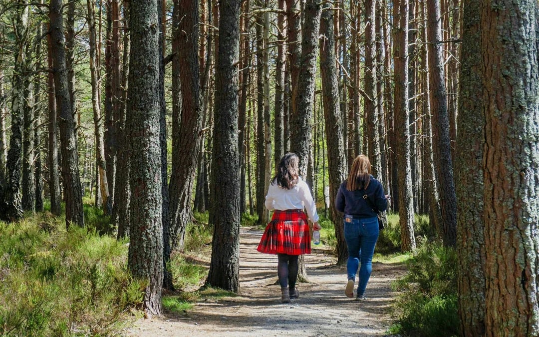 From Glasgow: The Scottish Highlands & Loch Ness Full-Day Tour With Loch Ness Cruise Image 2