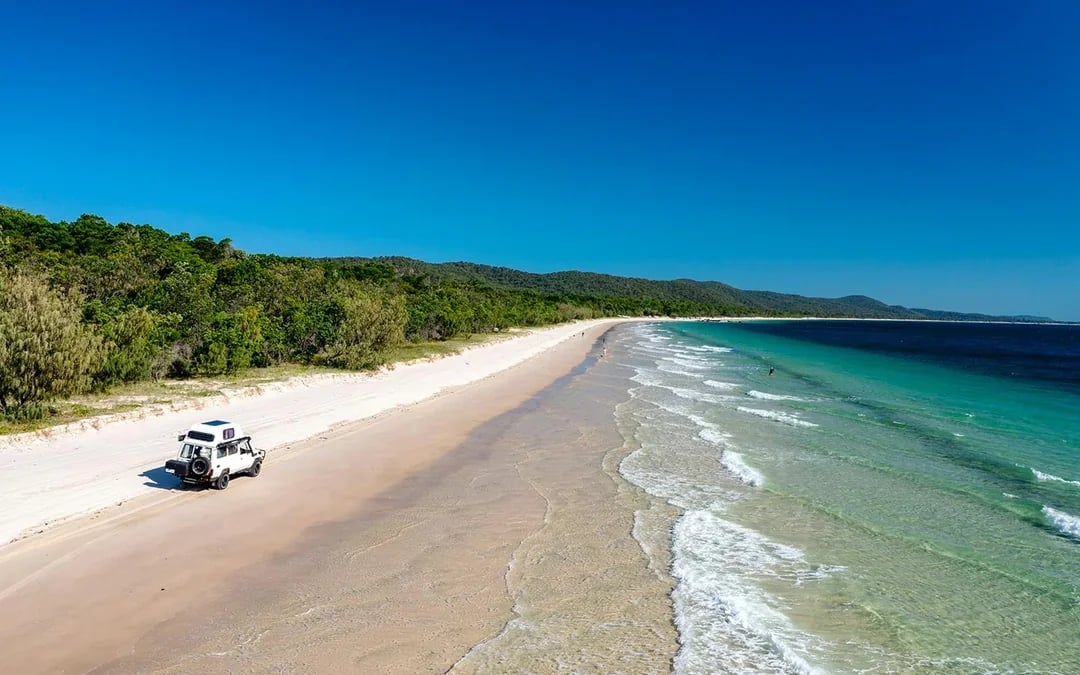 From Gold Coast: Tangalooma Wrecks Snorkel, Clear Kayak, & 4WD Desert Tour with Lunch Image 6