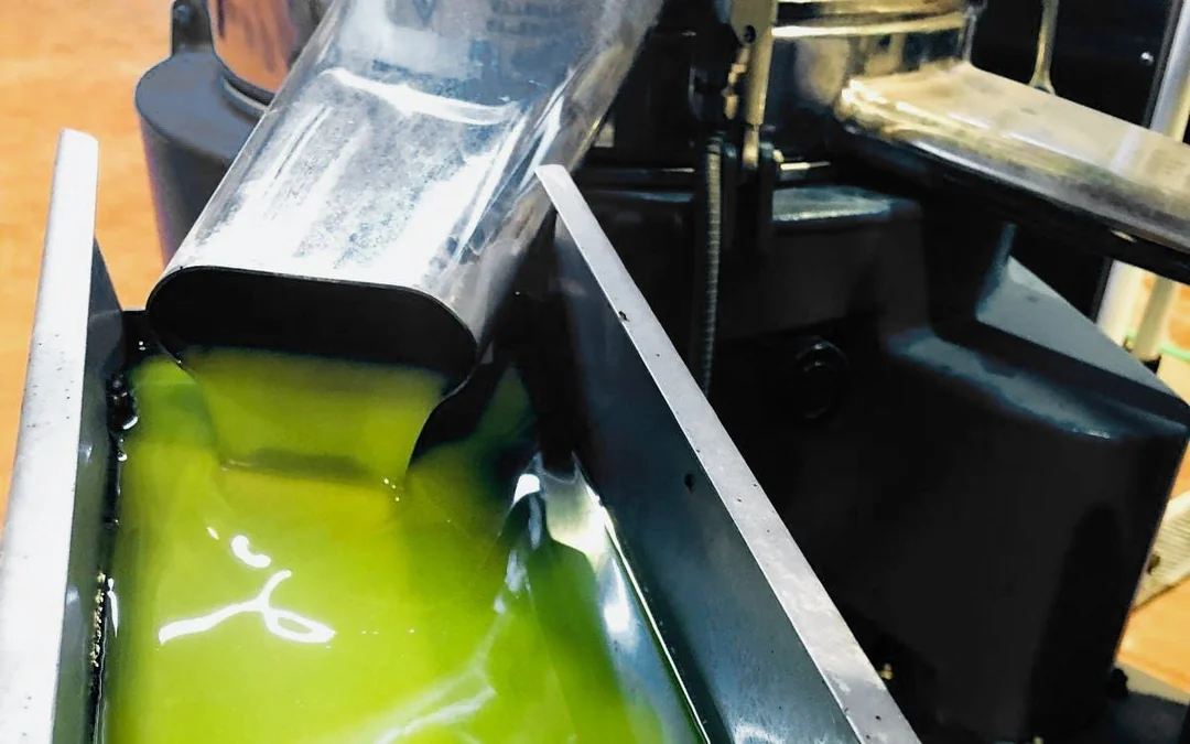 From Granada: Olive Oil Mill Excursion in the Lecrín Valley Image 4