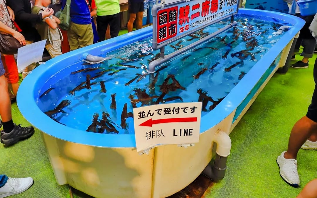 From Hakodate Port: Private Shore Excursion with Pickup and Drop-Off Image 1