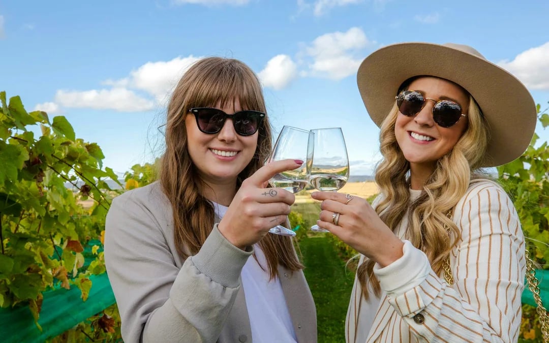 From Halifax: Sommelier-Guided Nova Scotia Wine Tour with Tastings and Lunch Image 1
