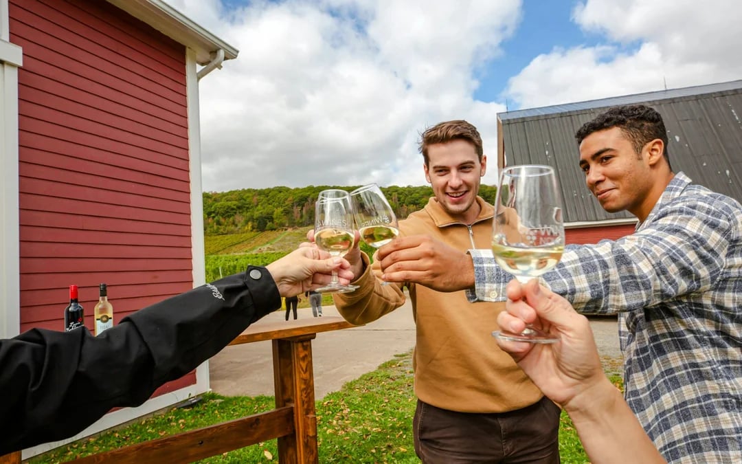 From Halifax: Sommelier-Guided Nova Scotia Wine Tour with Tastings and Lunch Image 3