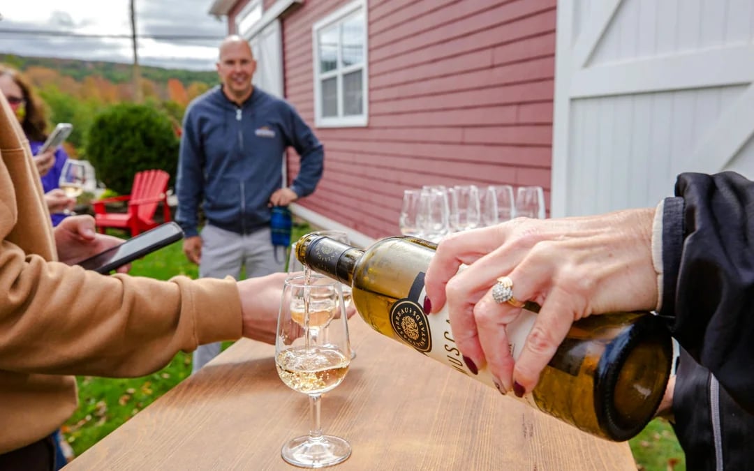 From Halifax: Sommelier-Guided Nova Scotia Wine Tour with Tastings and Lunch Image 5