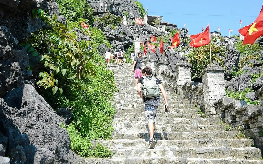 From Hanoi: Hoa Lu, Tam Coc & Mua Cave Small-Group Day Trip with Limousine Transfers Image 3