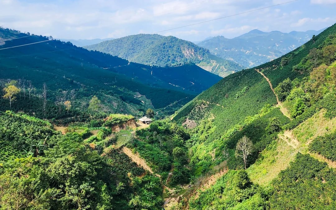 From Hanoi: Son La Coffee Farm Tour with Overnight Homestay Image 8