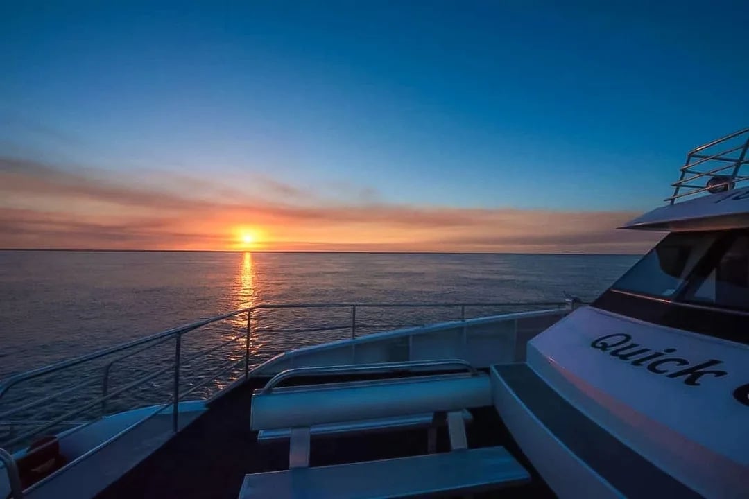 From Hervey Bay: Half-Day Whale Watching Cruise with 3 Viewing Levels & Refreshments Image 1
