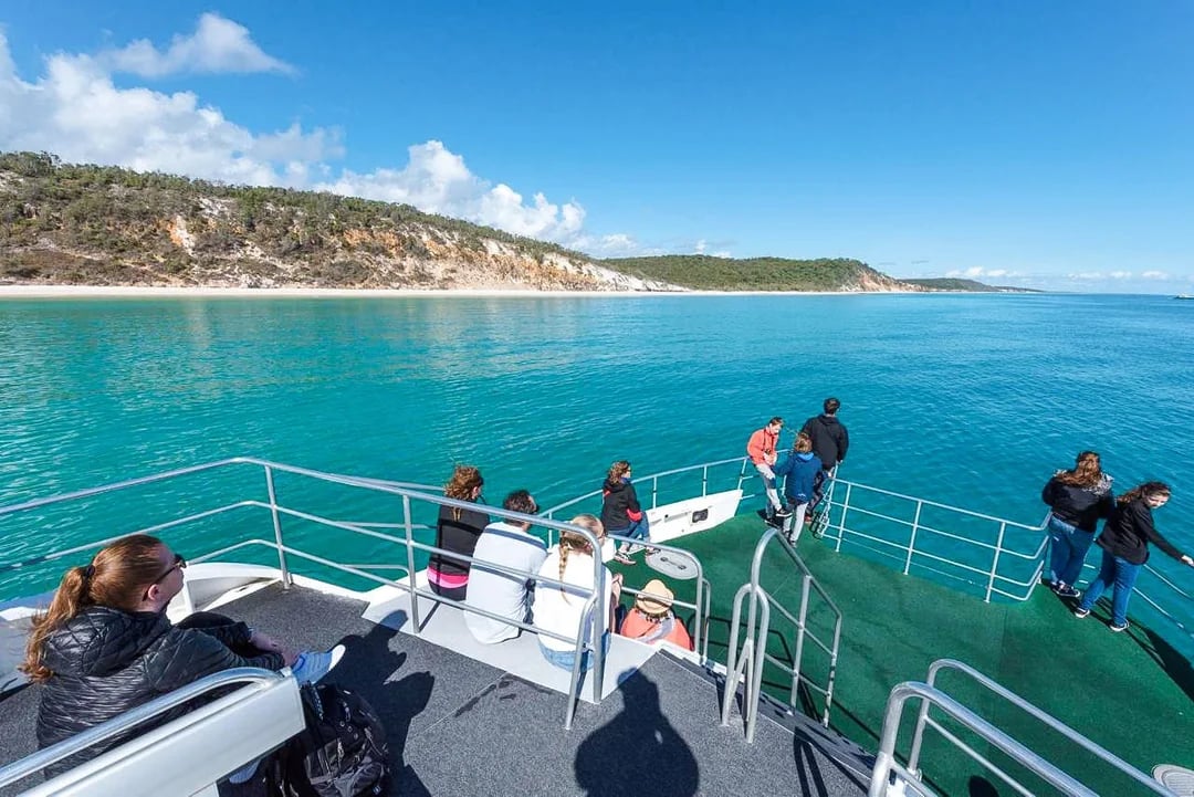 From Hervey Bay: Half-Day Whale Watching Cruise with 3 Viewing Levels & Refreshments Image 2