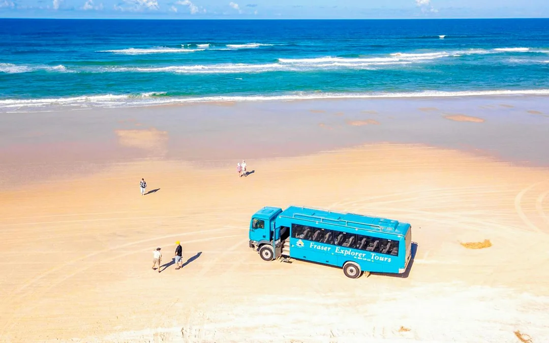 From Hervey Bay: K'gari (Fraser Island) 1-Day Classic Coach Tour with Lunch Image 1