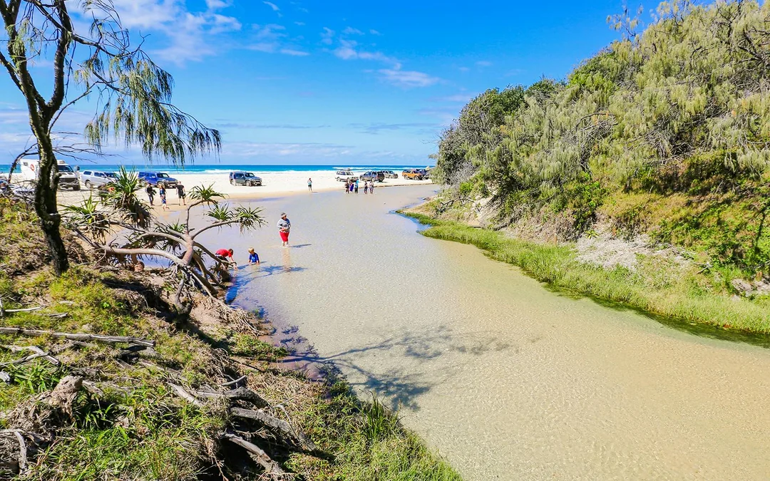 From Hervey Bay: K'gari (Fraser Island) 1-Day Classic Coach Tour with Lunch Image 5