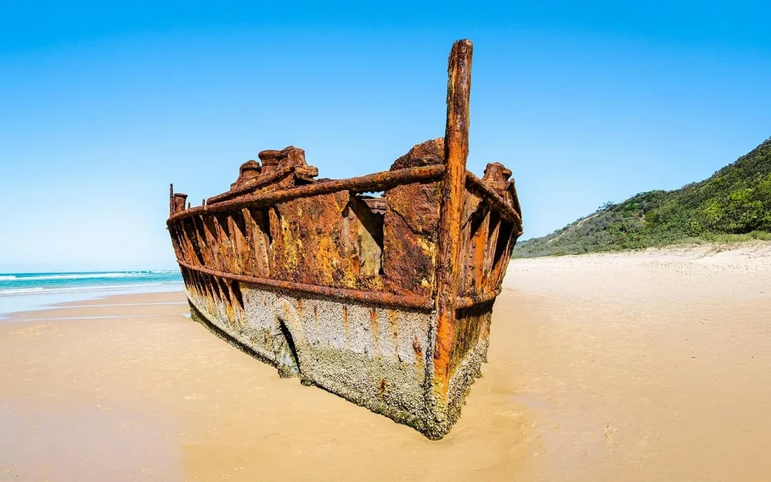 From Hervey Bay: K'gari (Fraser Island) 1-Day Classic Coach Tour with Lunch Image 8