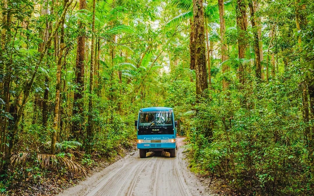 From Hervey Bay: K'gari (Fraser Island) 2-Day Guided Coach Tour Image 1