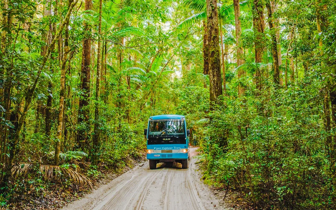 From Hervey Bay: K'gari (Fraser Island) 2-Day Guided Coach Tour Image 1