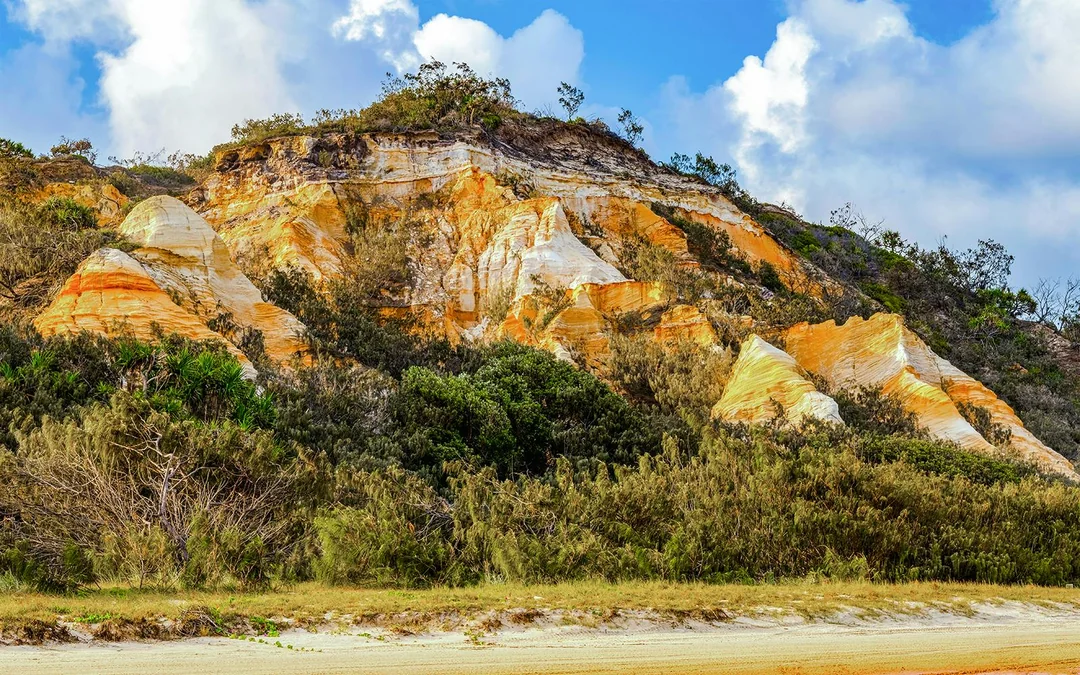 From Hervey Bay: K'gari (Fraser Island) 2-Day Guided Coach Tour Image 11