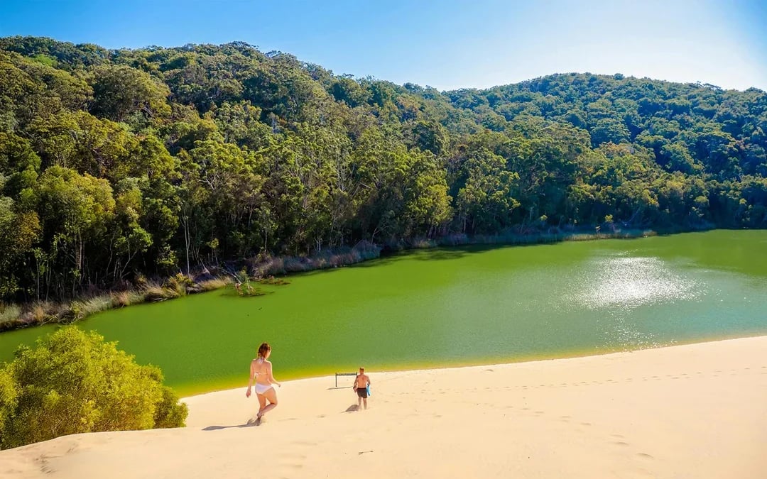 From Hervey Bay: K'gari (Fraser Island) 2-Day Guided Coach Tour Image 3