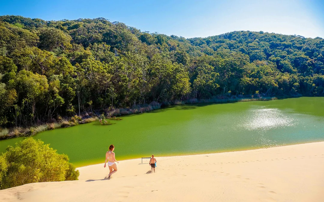 From Hervey Bay: K'gari (Fraser Island) 2-Day Guided Coach Tour Image 3