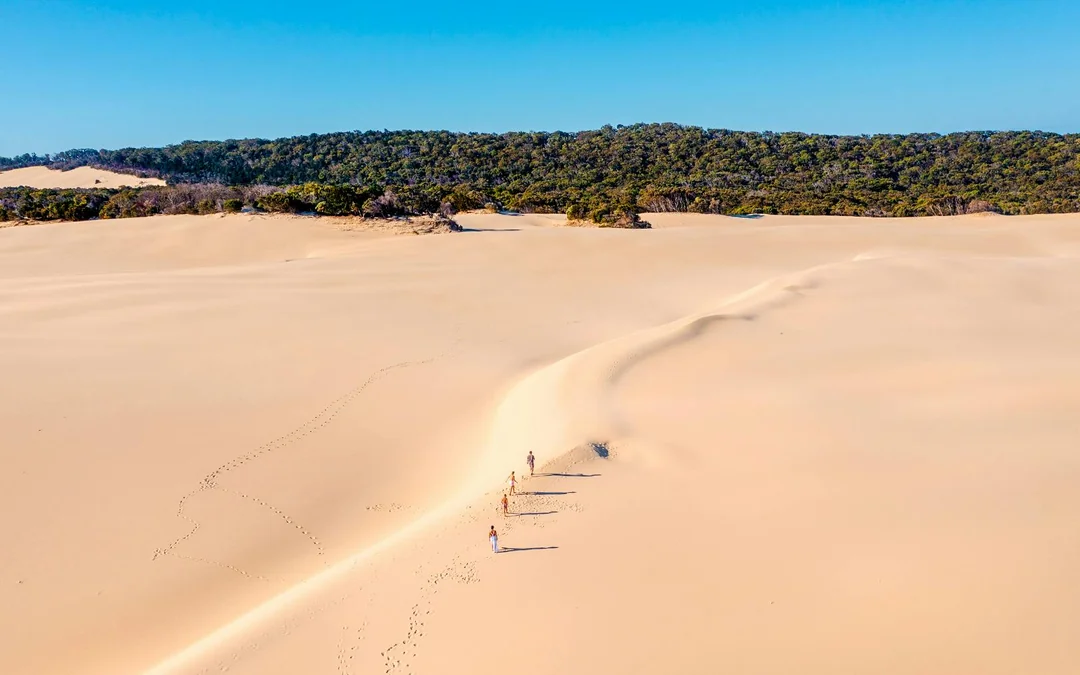 From Hervey Bay: K'gari (Fraser Island) 2-Day Guided Coach Tour Image 4