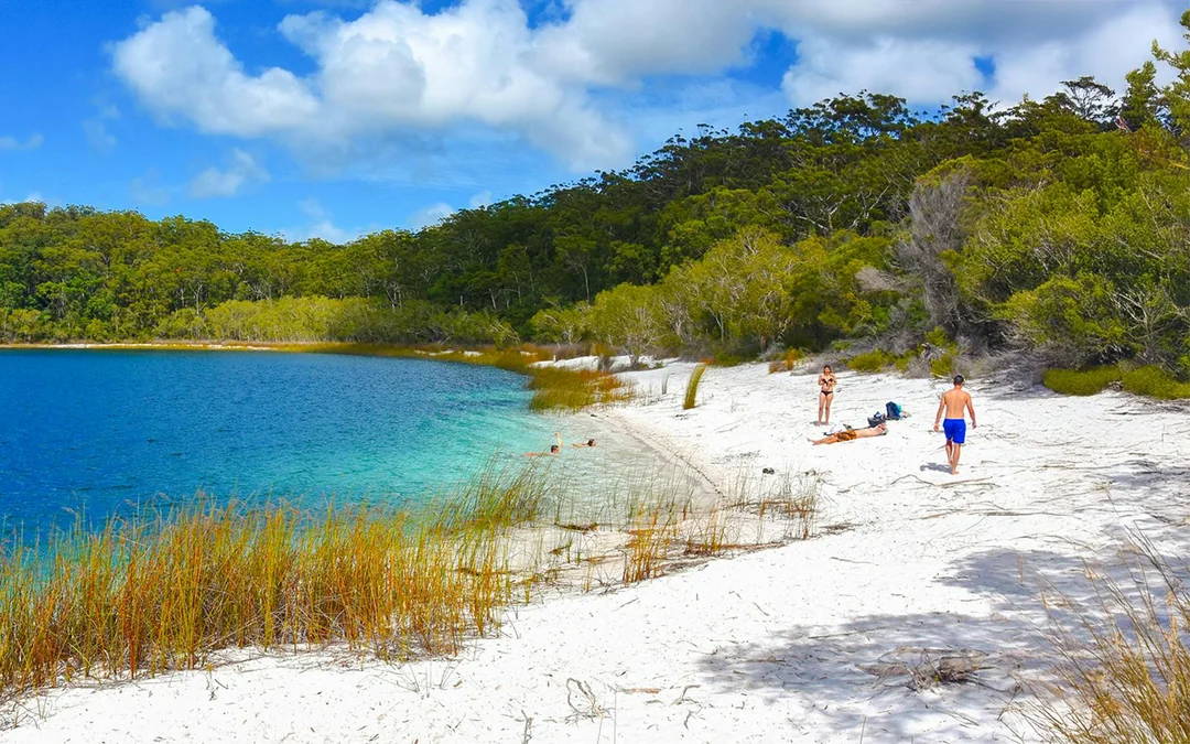From Hervey Bay: K'gari (Fraser Island) 2-Day Guided Coach Tour Image 5