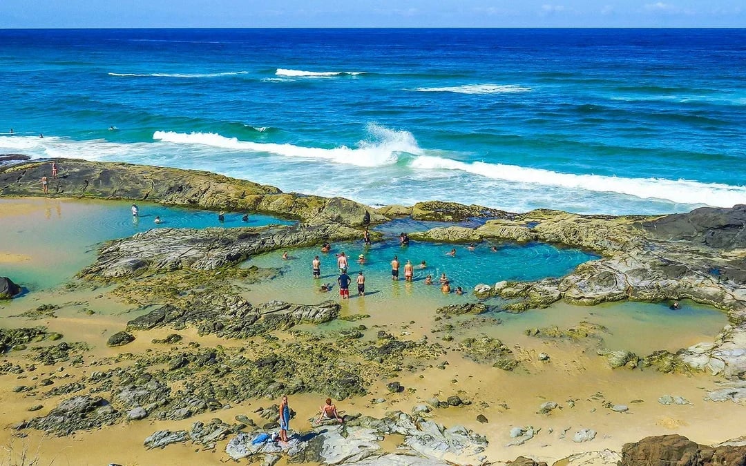 From Hervey Bay: K'gari (Fraser Island) 2-Day Guided Coach Tour Image 9