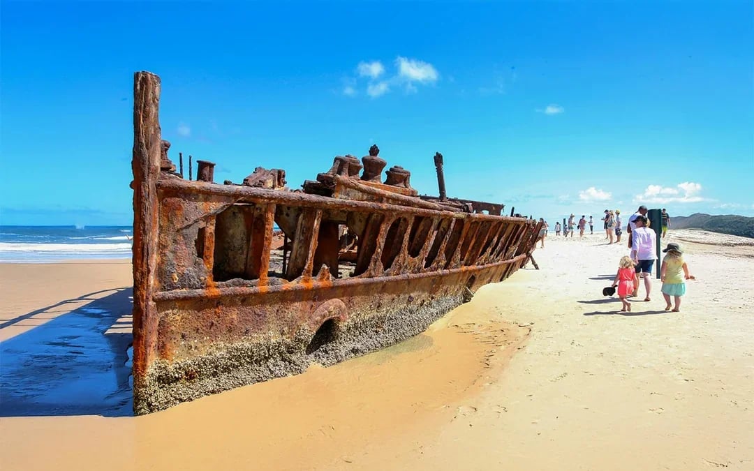 From Hervey Bay: K'gari (Fraser Island) 2-Day Guided Coach Tour Image 10