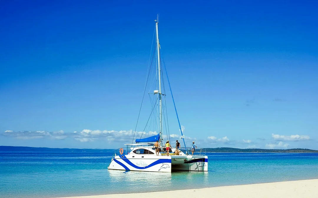 From Hervey Bay: K'gari (Fraser Island) Dolphin Eco-Sailing Cruise Image 1