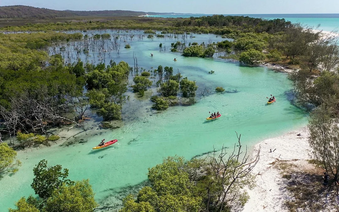 From Hervey Bay: Remote K'Gari (Fraser Island) Boat Tour with Lunch Image 2