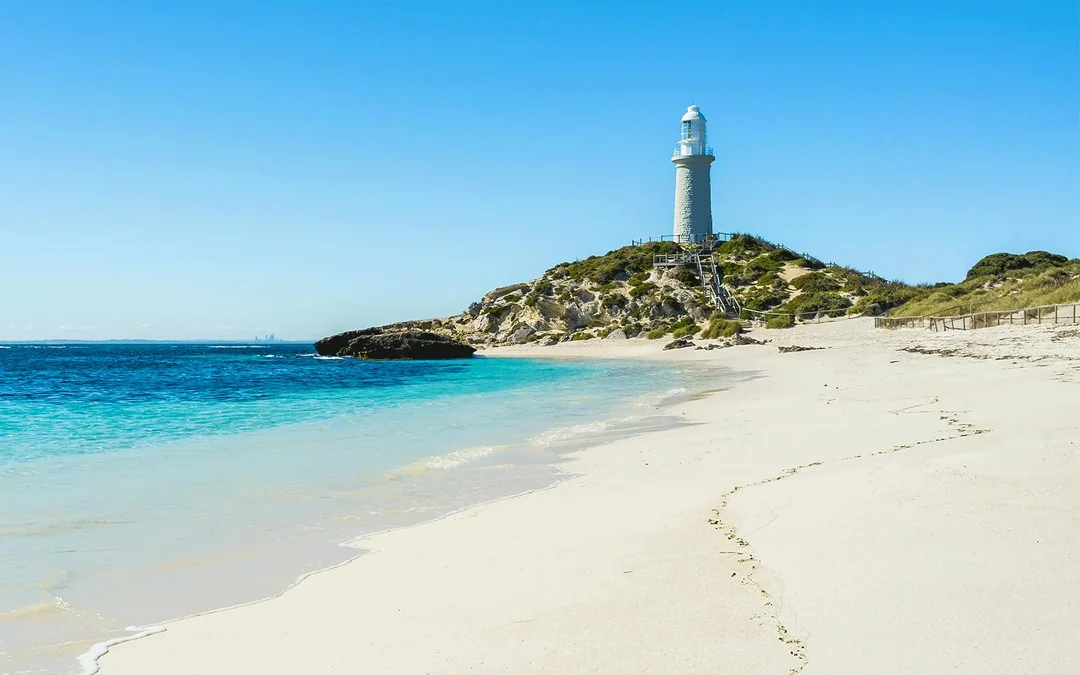 From Hillarys: Rottnest Island Return Ferry Image 5