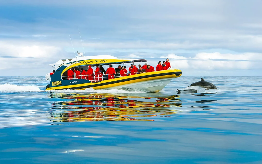 From Hobart: Bruny Island Full-Day Bus Tour with Eco Wilderness Cruise Image 3