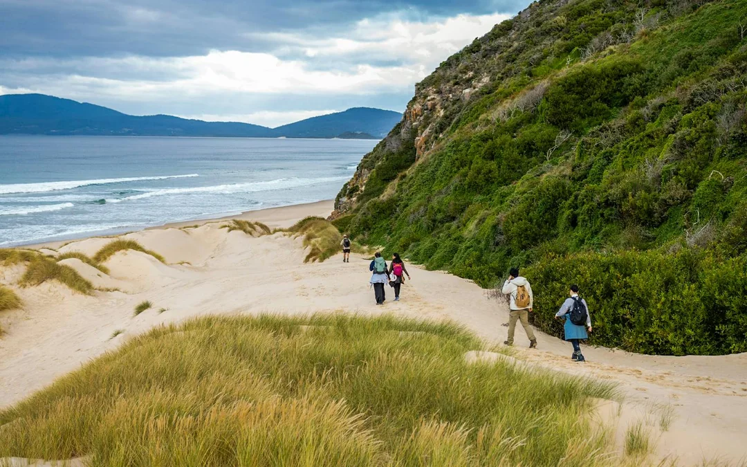 From Hobart: Bruny Island Full-Day Guided Tour + Nature Walk & Gourmet Tastings Image 2