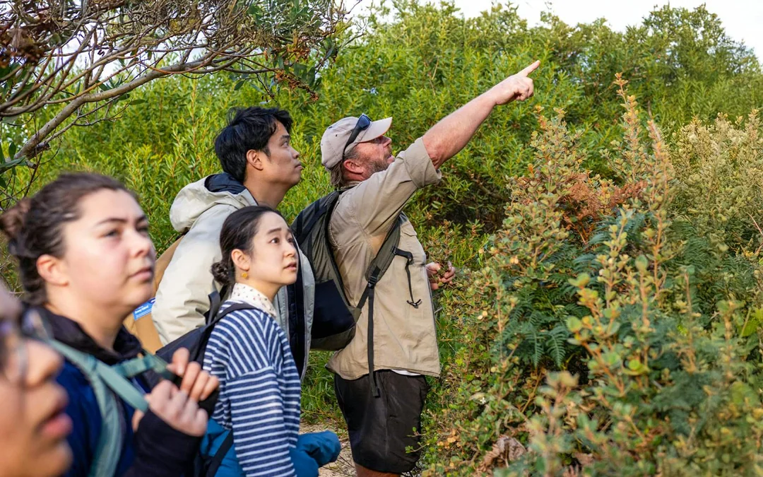 From Hobart: Bruny Island Full-Day Guided Tour with Gourmet Food Image 1