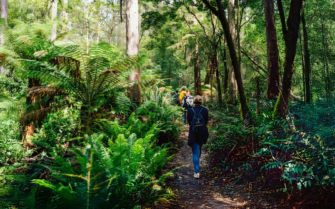 From Hobart: Bruny Island Full-Day Guided Tour Image 4