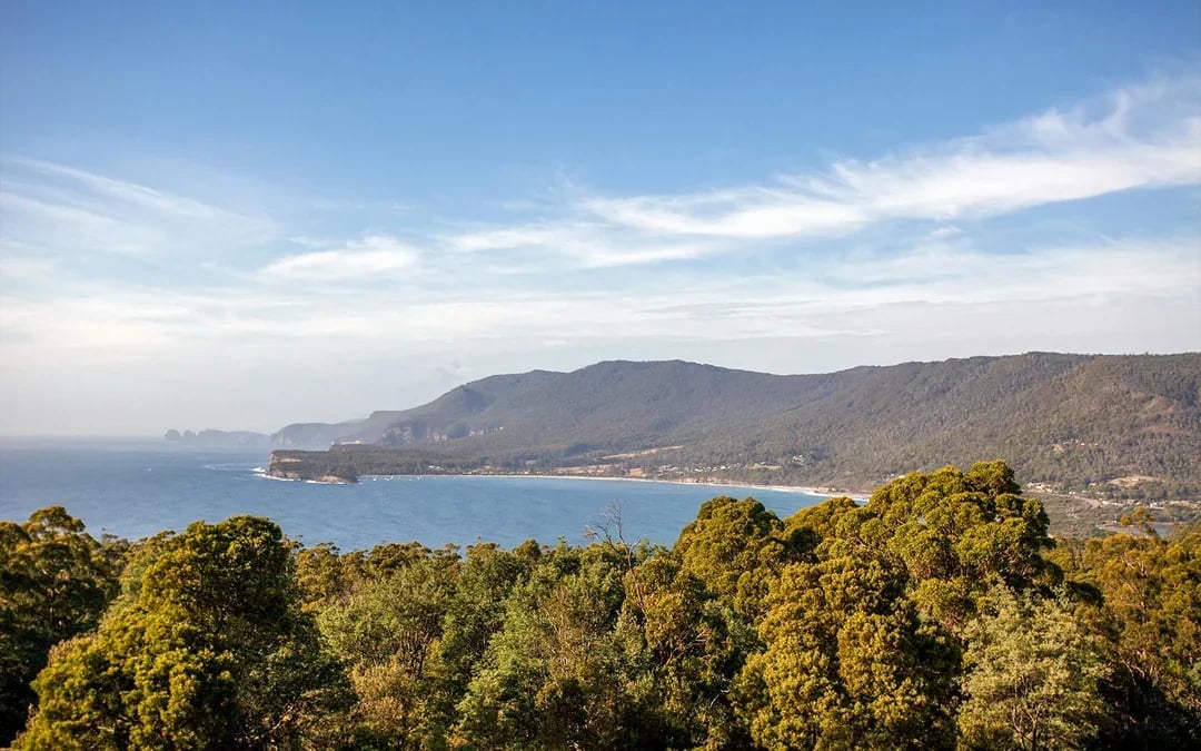 From Hobart: Port Arthur & Lavender Farm Guided Tour
Image 2