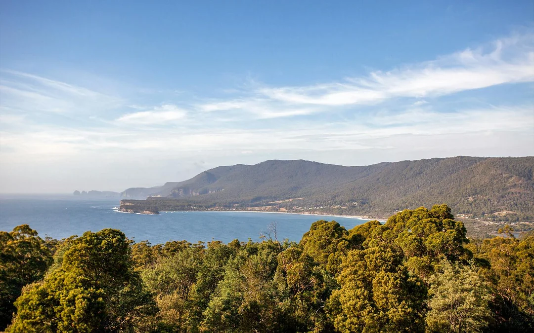From Hobart: Port Arthur & Lavender Farm Guided Tour
Image 2