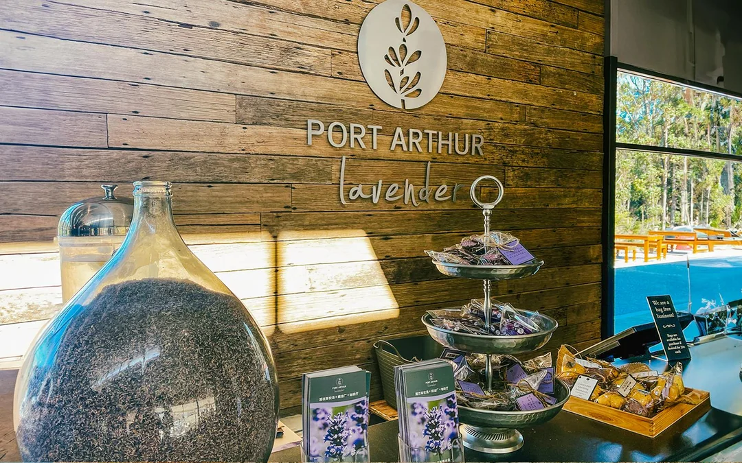 From Hobart: Port Arthur & Lavender Farm Guided Tour
 Image 4