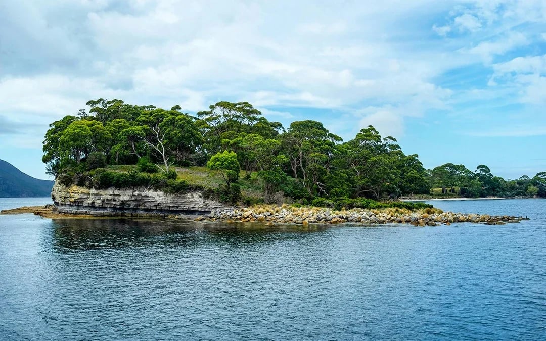 From Hobart: Port Arthur & Tasman Park Guided Tour with Harbor Cruise

 Image 8