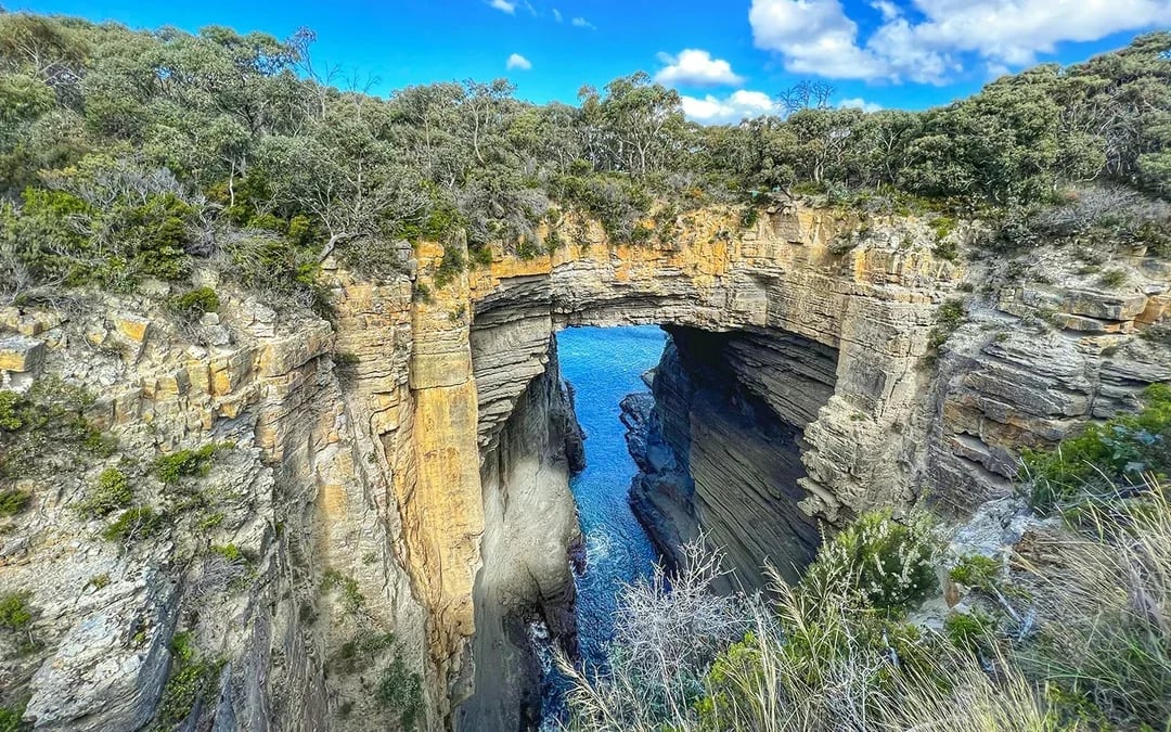 From Hobart: Port Arthur & Tasman Park Guided Tour with Harbor Cruise

 Image 9