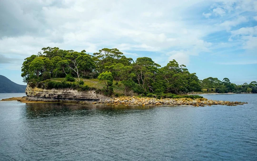From Hobart: Port Arthur & Tasmanian Devils Guided Tour
 Image 10