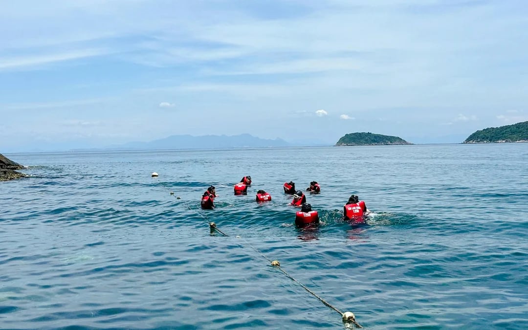From Hoi An or Da Nang: Cham Island Snorkeling or Scuba Diving Tour Image 3
