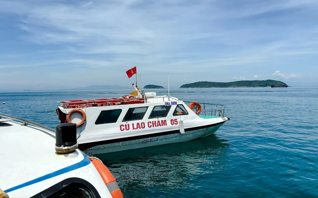 From Hoi An or Da Nang: Cham Island Snorkeling or Scuba Diving Tour Image 4