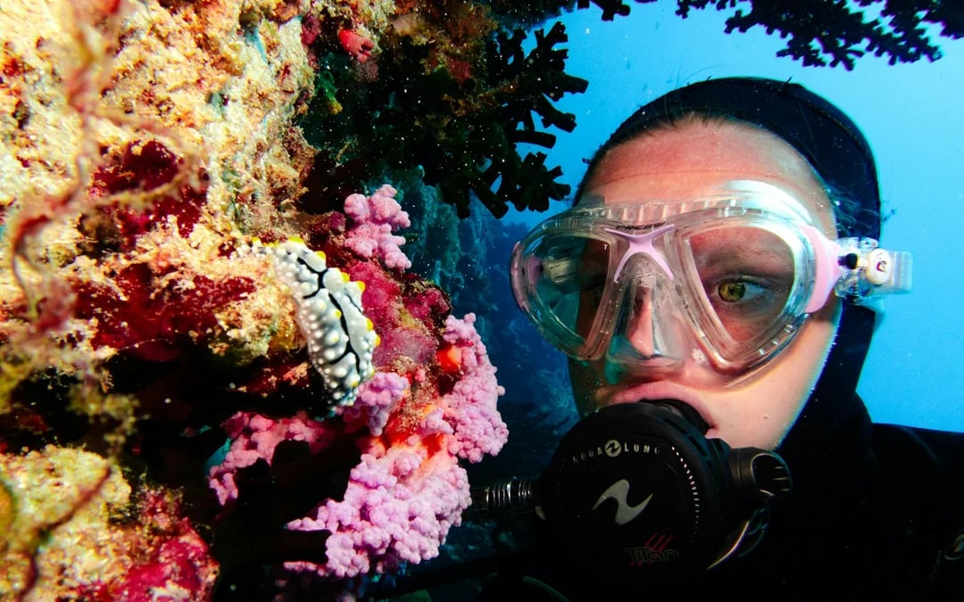 From Hoi An or Da Nang: Cham Island Snorkeling or Scuba Diving Tour Image 7