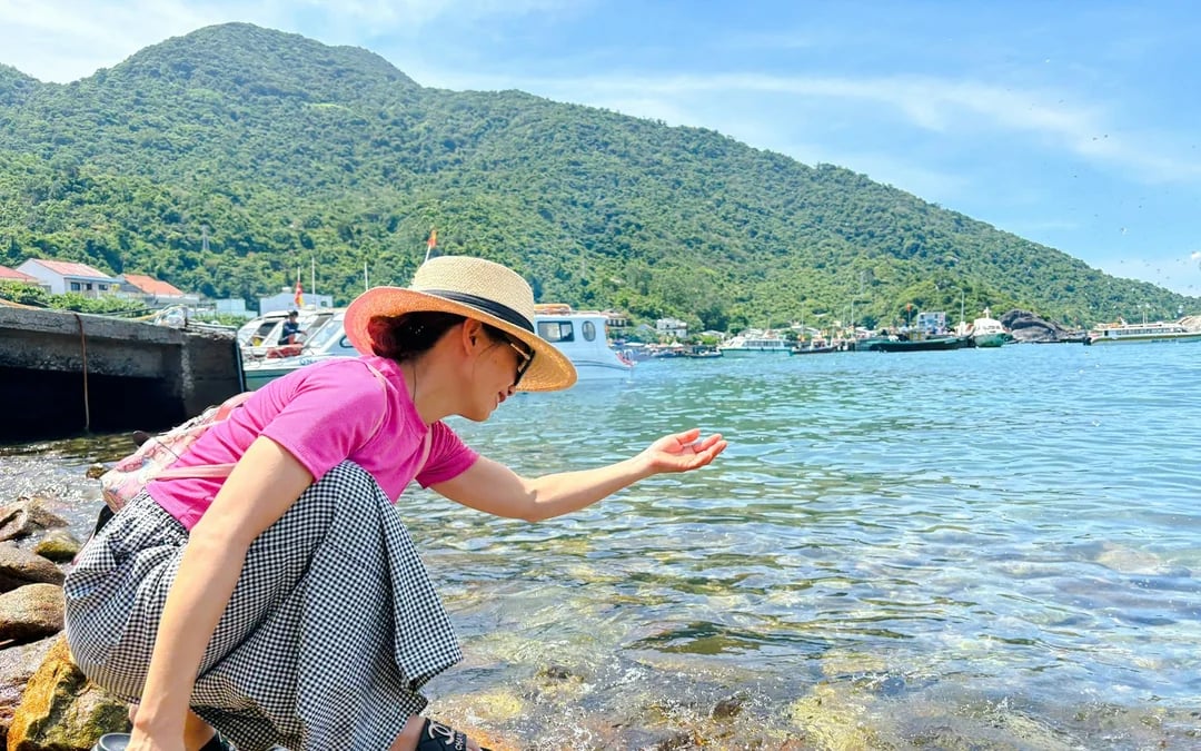 From Hoi An or Da Nang: Cham Island Snorkeling or Scuba Diving Tour Image 10